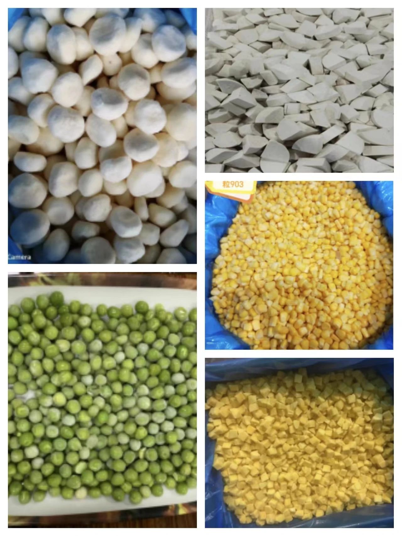 1716781302924970.jpg 1716781302924970.jpg